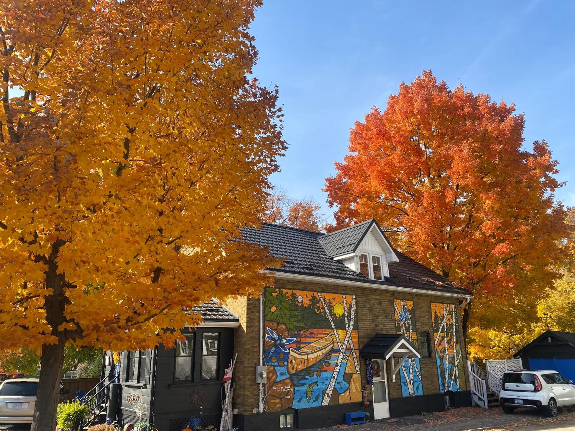 Blue Spruce Bed&Breakfast Gravenhurst Exterior foto
